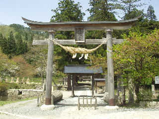 ���v�Ô����{