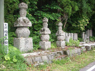 �ɒB���@�ɖłڂ��ꂽ����ꑰ�̌ܗ֓��B