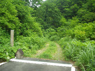 �L���������B�o���Ă����Ɛ����X�ƍ��X�̈ƕ����z���ďH�c���ɏo��B