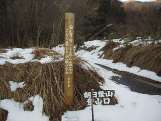 �����̒����t�R�o�R���B�����R���͑�������t�R�A�����x���z���ď����ɔ������B