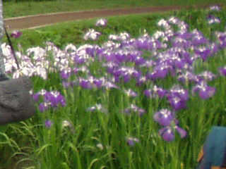 ����ߌ����̂����