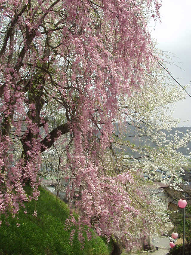 �T�C�g�}�b�v