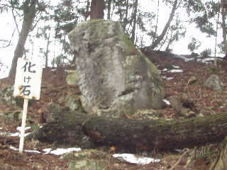 �{�����w�Z���΂ɂ���u�����΁v