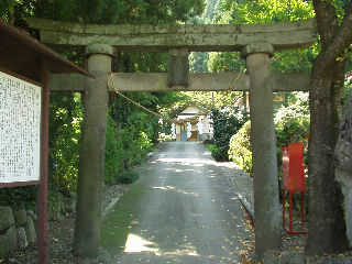 ���̑����匠���B���ɂ͎O����F�̜|�{�̌`������������~���̖{���A�����匠���������J���Ă���B