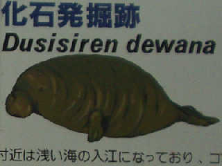 ���}�K�^�_�C�J�C�M���E�z���}�B�N���Ɏ��Ă�H