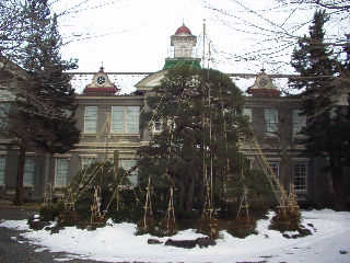 ���R�`�t�͊w�Z