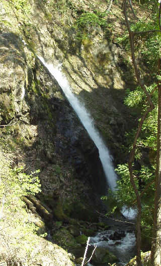 �����s����