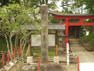 �����隬�̔�