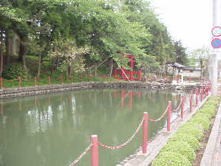 ������̐��x