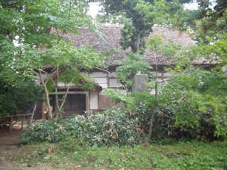 �֍��̕���@