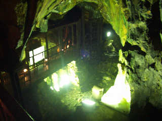 �ő�̔p�B�A��z���B���̓��C�g�A�b�v����Ĕ������B