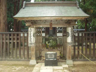 �Q����i�񂾒������ʂɂ��鏉�㌪�M���̌�_�B