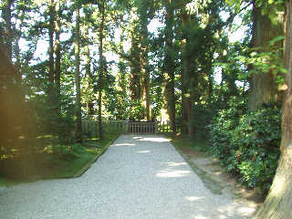 �I�q�c�q�̌�揊�B