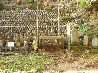 �V���Ɨݑ�̌ܗ֓���