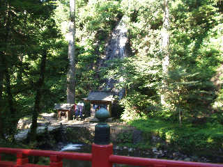 �_������]�ސ{��̑�B