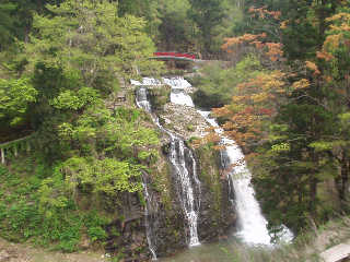 ��R����̉��ɂ��锒��̑�B