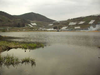 �����΂Ƌ߂��̒����͐̂��畗�����Z�ȏꏊ�Ƃ���A�����u�ԓ����i�v�ɓ���i���\�N�Ԃ̊֌����G�I�Łw�_����x�w���H��x�i�����j�w�����΁x�w�������x�i�������j�w���V�x�w�Óc�x�i�ԓ��k���t�߁j�w����x�w�W���x�̔��j�B�㐙��R�́u�ԓ����i�v����Ƃ̖ډ�c�_��ɕ`�����A䬌ˑP���A�_�ۍj����Ɛb��������Y���āw�O�򔪏�����x������ꂽ�B�u�����v�͕đ�X������̓�Łu�������ʒ����v�Ƃ���ꂽ�B�đ�˂̕��l�͂�����u�r���v�ƕ\�����Ă���B