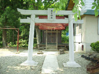 ���`�o���J�锻���_�ЁB