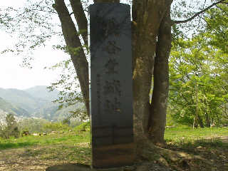 ���J���隬�̔�B