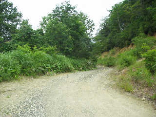 �w�����ɑ���ѓ��̒���B���̐敟�����B