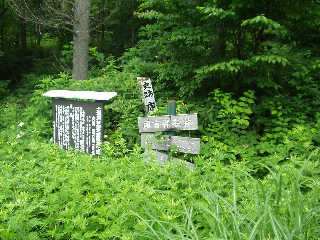 �w��������������́u��̑��ꗢ�ˁv�B