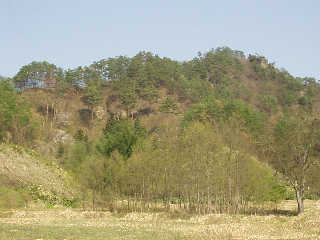 ���o��t���J�R�����Ƃ������u��O��v�B