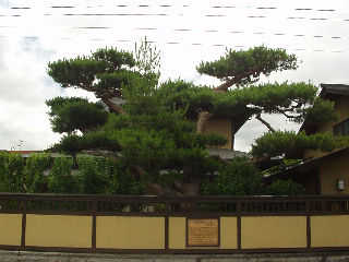 �ԓ��g���ɂ�����ԑ䋴���Ԃɂ���ꗢ�˂̏��B