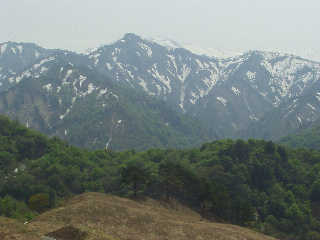 �M��������]�ޔіL�A��B