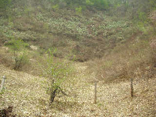 �V���̉J�ĎR�R���̓�̂��ڒn�u�W���K�����K���v�B