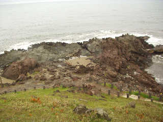 �C�T���̘a�������{�C�̍r�g�Ō`�����ꂽ���ɏ\�Z���������񂾂��Ƃ���\�Z������ƌĂ΂��