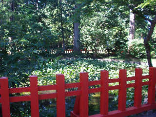 �Ë������������������r�B