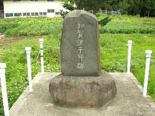 �����猬�Ղ�������