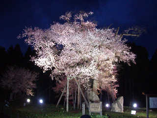 ��́u���̉z���v