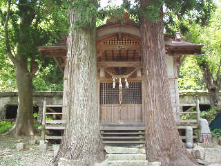 ���`�o�̖k�̕����T�����ŋT��ۂ��o�Y�������ƂɗR������q�����A���Y�̋T���ω��B