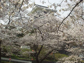 �����炫�ւ��R��B