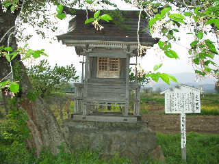 �ђJ���_�B����͜����a�����s����n��ŁA������Ж�ƍl�����l�X�����������B