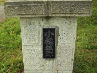 ������Ղ̔�