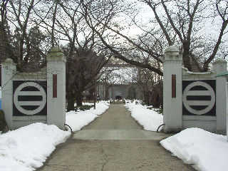 ���T���̓����B�ŏ�Ƃ̉Ɩ�u������v���傫���`����Ă���B