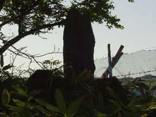 �㐙�ƍŏ�̐킢�ŖS���Ȃ����������J��u��ˁv�B