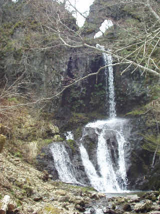 �����i�����肾���j