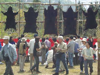 ����ˎ~�߂�ꂽ�F�B�B