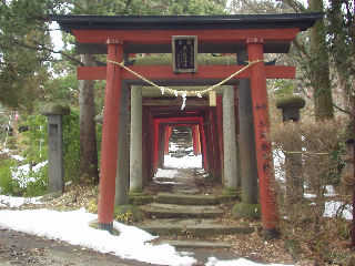 ���������X�Ƒ����Ă���B