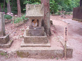 �z�K�_�Ћ����̎q��ω��B�}���A�ω��Ƃ�������B