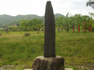 �ۉ��隬�̔�