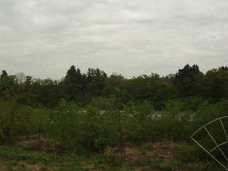 �ʐ^�̐Ԑ�Ίݕӂ�ɏ����邪�������炵���B