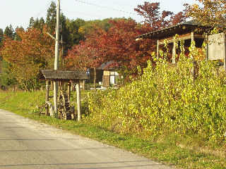 �`���H�|�̑��B�[�R�a���Ȃǂ�����Ă���B