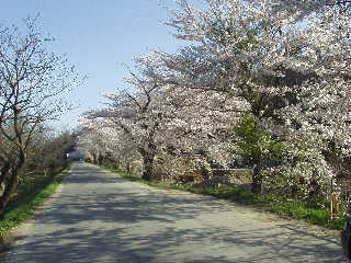 �ŏ���h�̐�{��