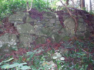 ���R�隬�V��R�Ɏc���ꂽ�Ί_