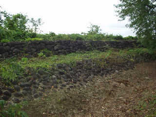 ���]�������z�����J�n�͌���