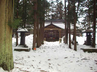 ���������{